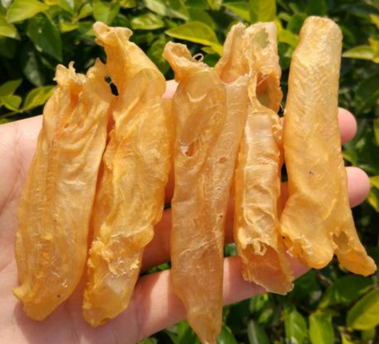 阳山鱼胶回收商家电话
