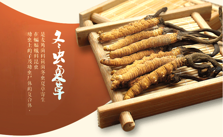 连山虫草回收商家联系方式