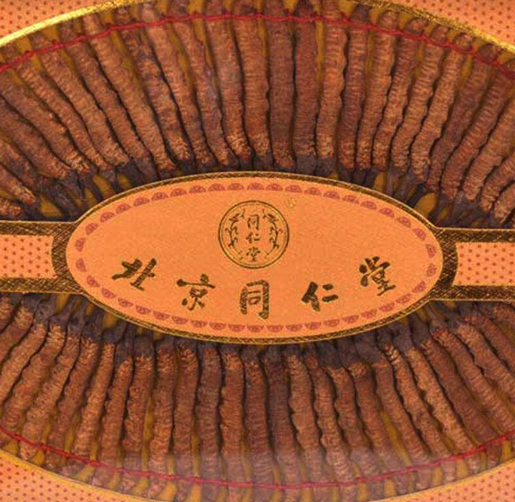 清城虫草回收