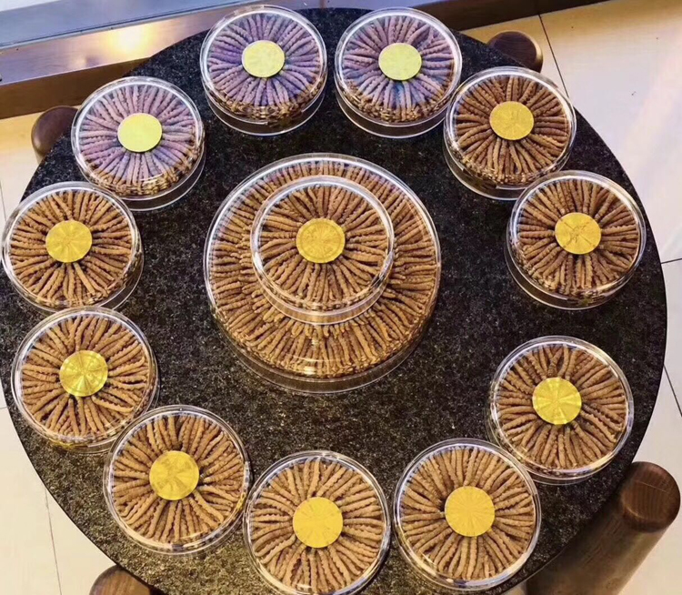 清远虫草回收