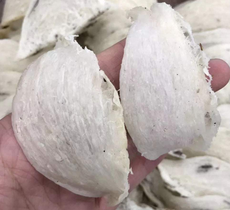 清远燕窝回收一克多少钱