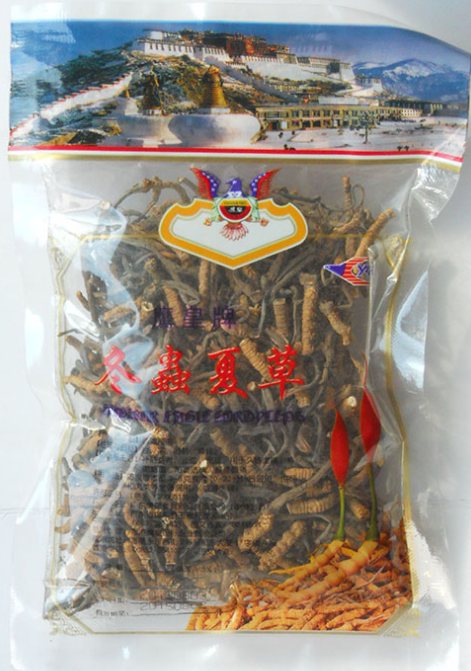 清新冬虫夏草哪里有回收的