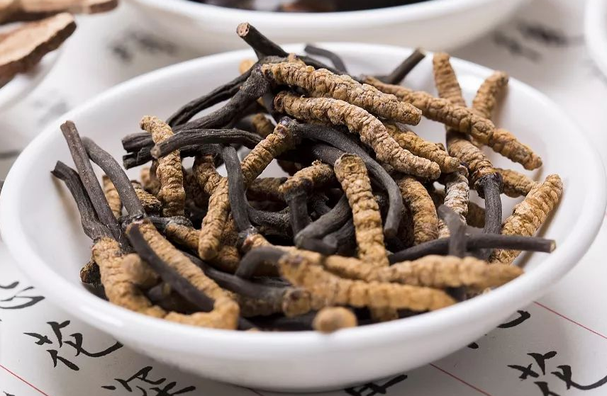 清远上门虫草回收