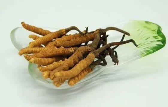 清城虫草回收现在多少钱一克