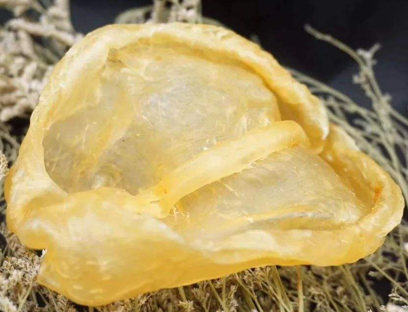 清新鱼胶哪里有回收的