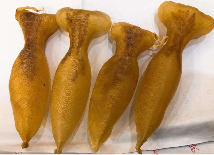 花胶和鱼胶哪个贵？清远鱼胶回收商家来解答