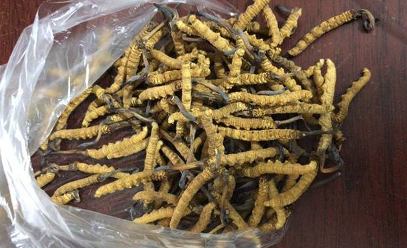 连南高档礼品回收怎样联系