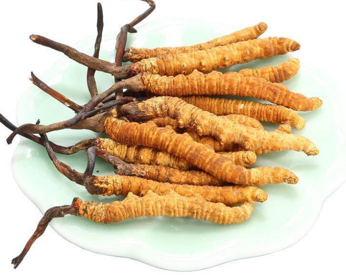 清城上门虫草回收